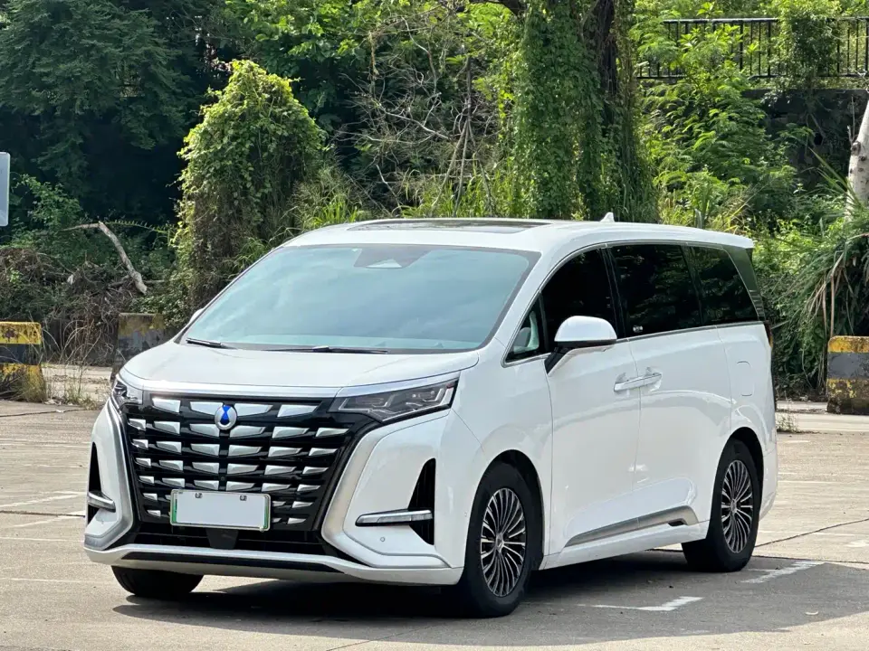 Denza D9 DM-i 970 AWD Flagship 2023