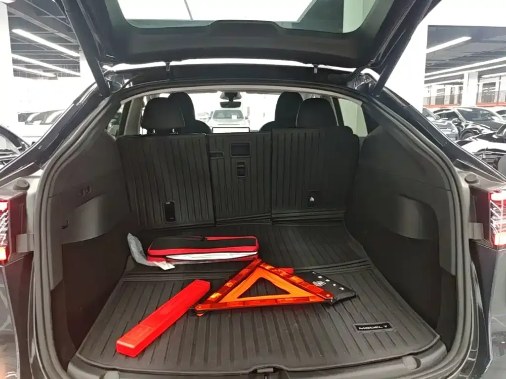 Tesla Model Y Rear-Wheel Drive Version 2024 — фото 19
