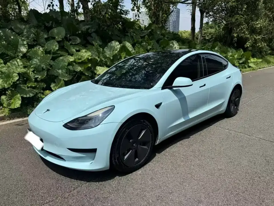 Tesla Model 3 Model Rear-Wheel Drive Version 2022