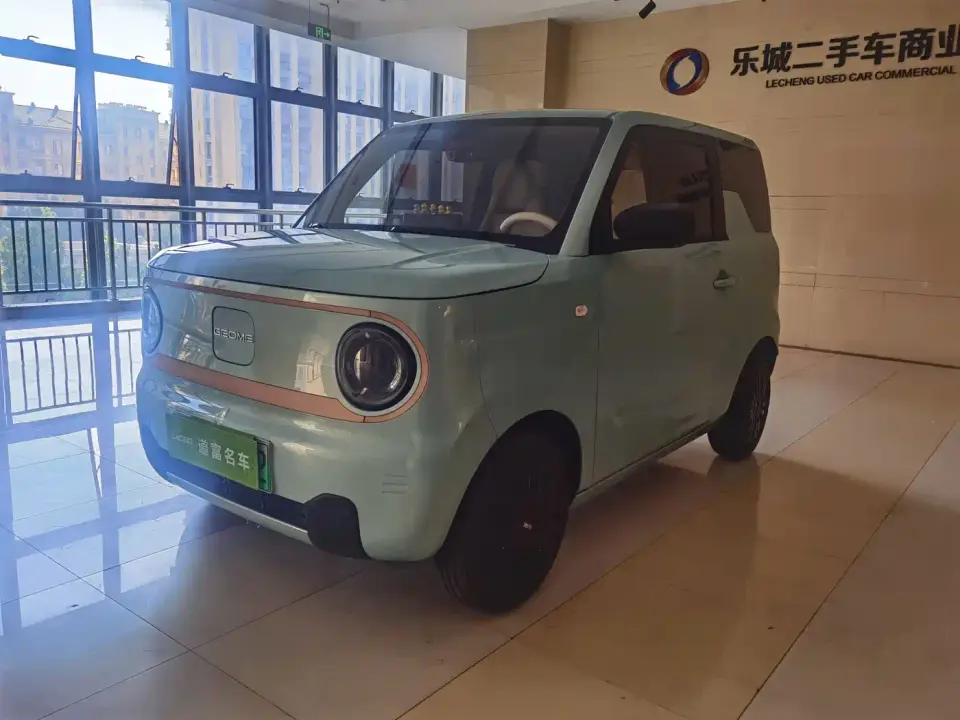 Geely Galaxy Panda Panda mini 200km Endurance Bear 2024
