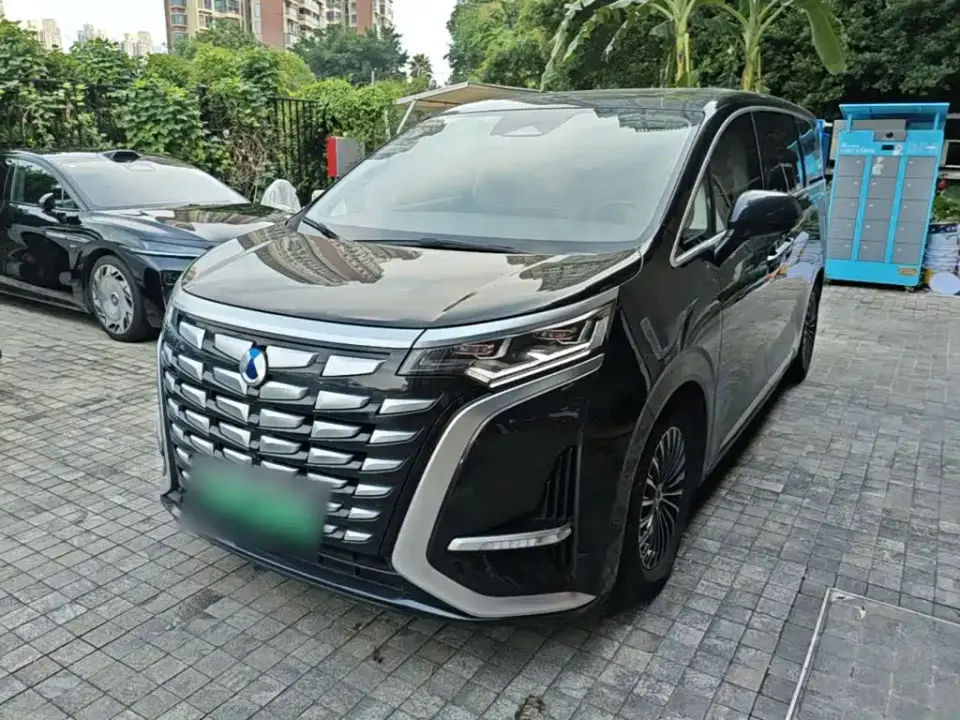 Denza D9 DM-i 970 Luxury 2024