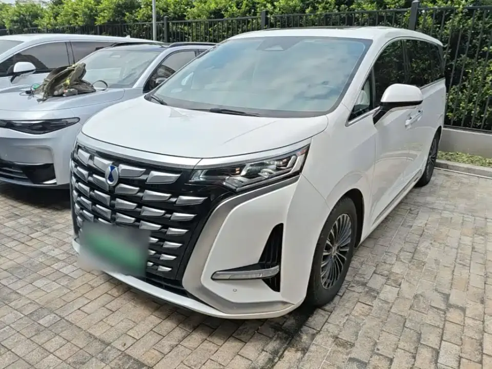 Denza D9 DM-i 970 Luxury 2024