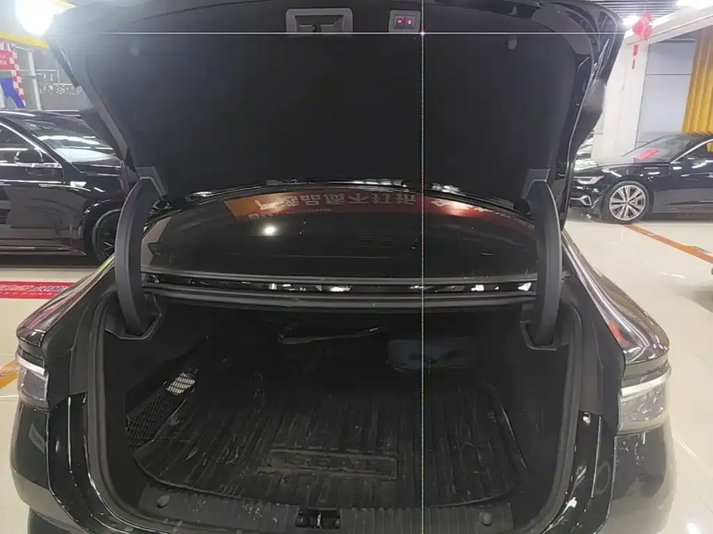 BYD Seal DM-i 1.5T 121km Premium 2024 — фото 19