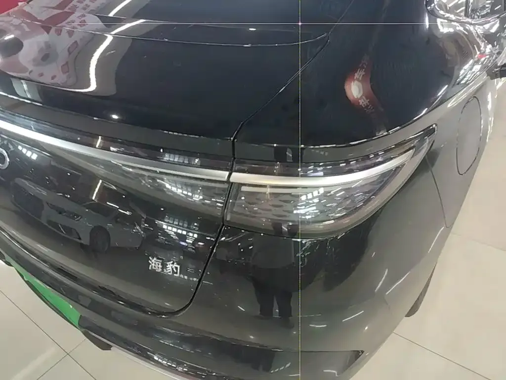 BYD Seal DM-i 1.5T 121km Premium 2024 — фото 8