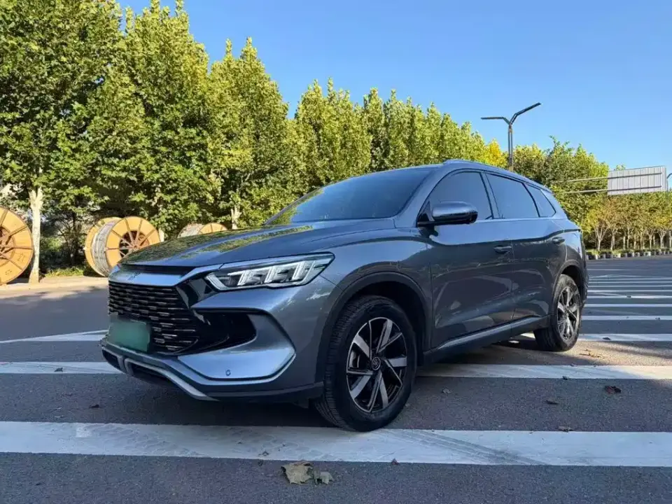 BYD Song Pro New Energy Glory Edition DM-i 71KM Pilot 2024