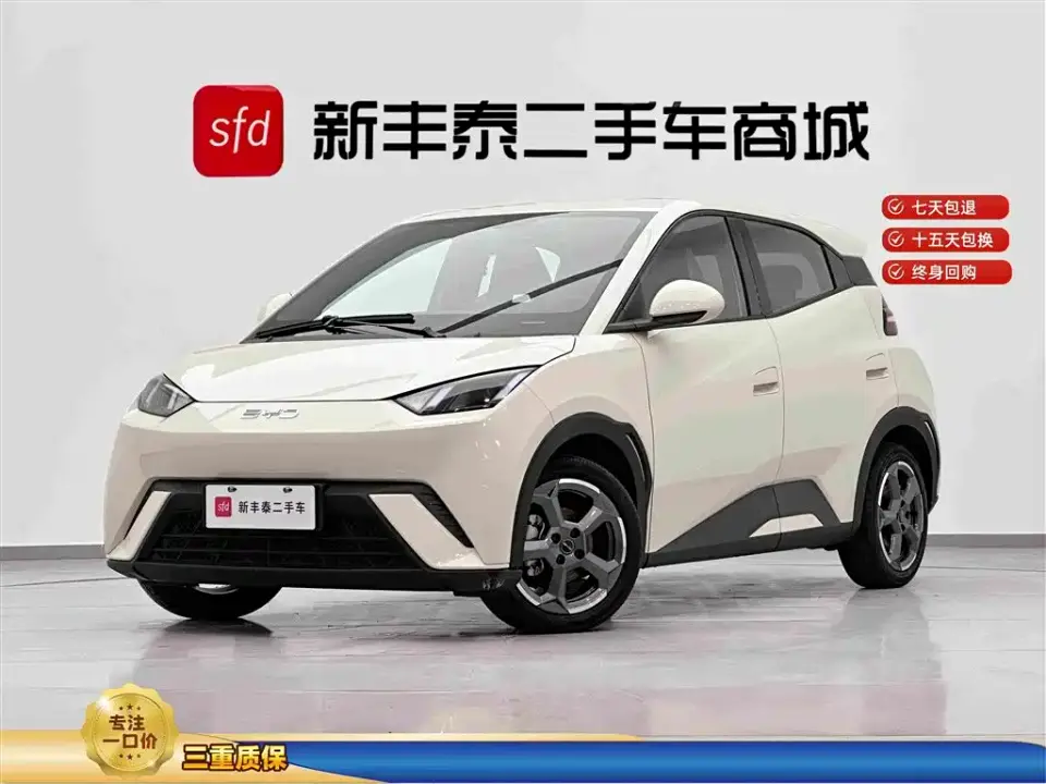 BYD Seagull Glory Edition 305km Freedom Edition 2024
