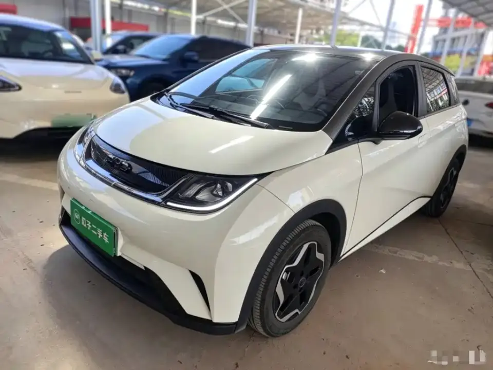 BYD Dolphin 420km Vitality Edition 2024