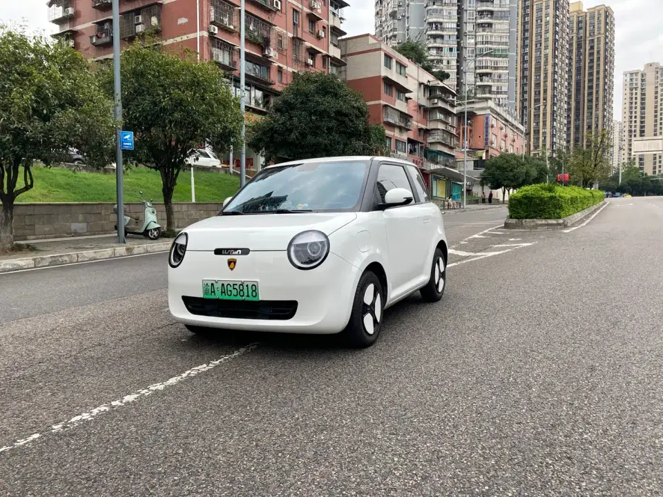 Changan Qiyuan Changan Lumin 155km Fresh Edition 2023