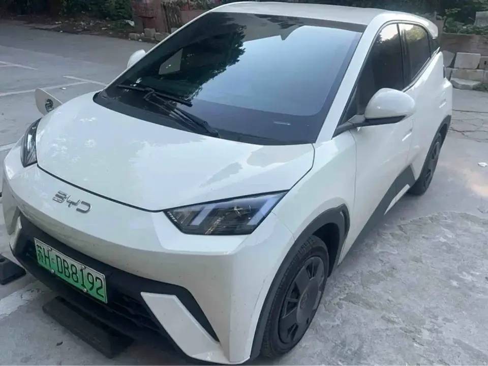 BYD Seagull Vitality Edition 2024