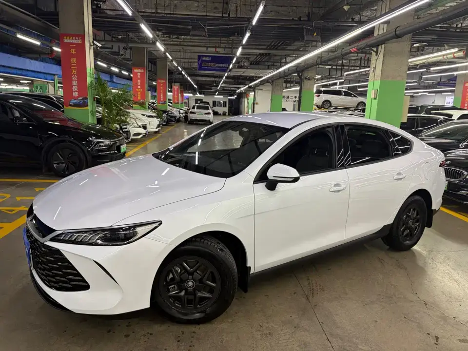 BYD Qin PLUS DM-i Smart Drive 55KM Leader 2025