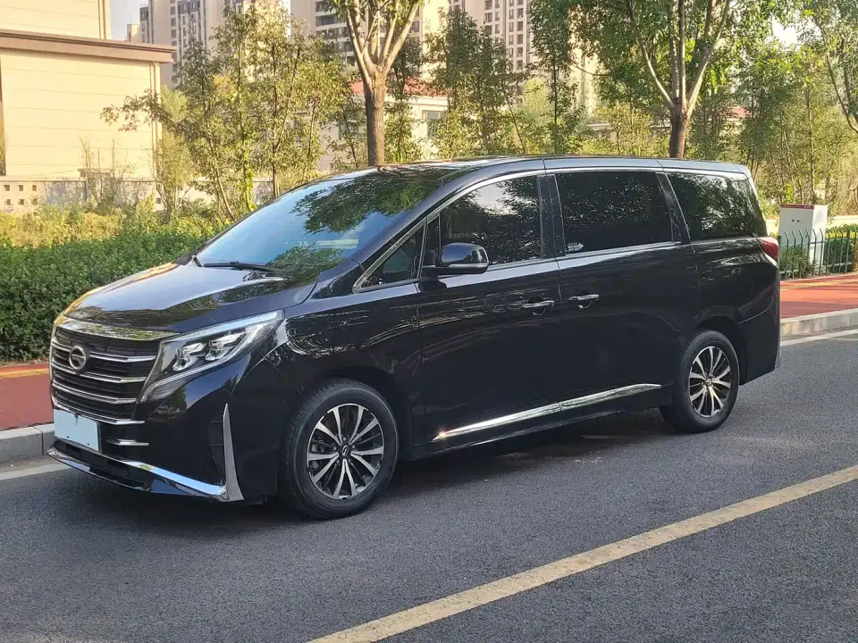 GAC Trumpchi M8 Leading Series 390T Premium Edition 2024