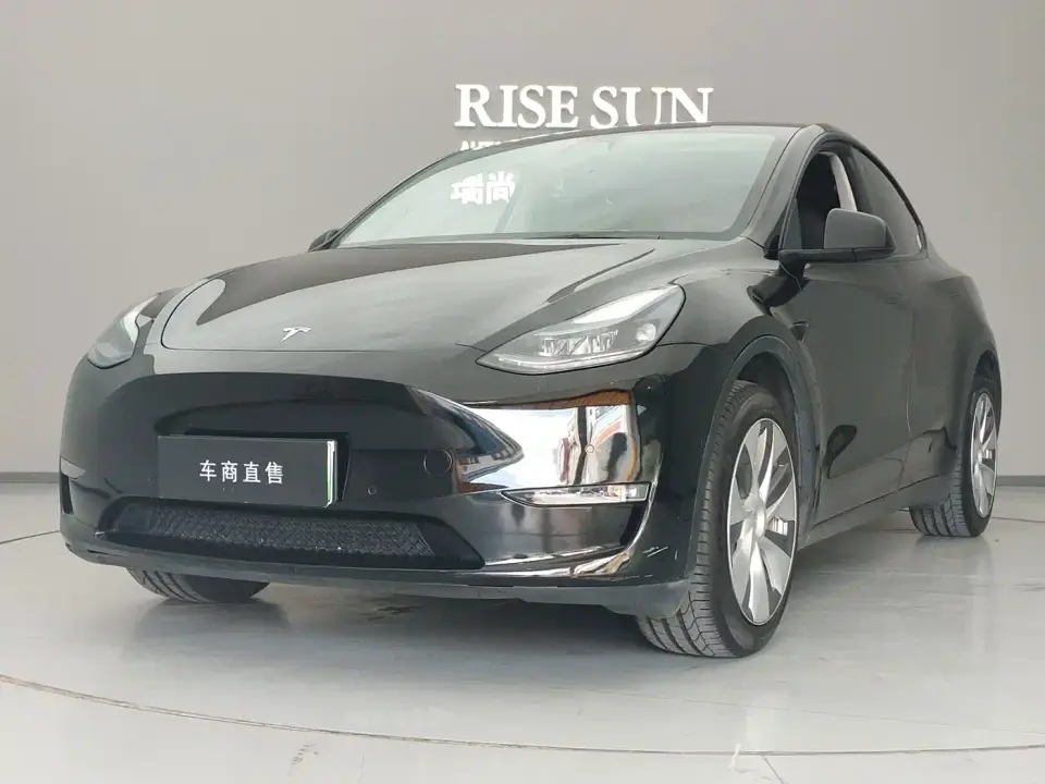 Tesla Model Y Long Range All-Wheel Drive 3D7 2022