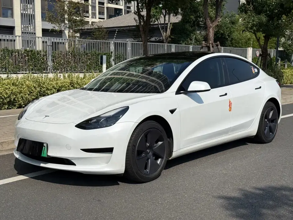 Tesla Model 3 Model Rear-Wheel Drive Version 2022
