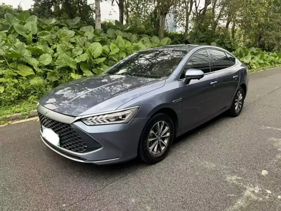 BYD Qin PLUS Glory Edition DM-i 55KM Leading 2024