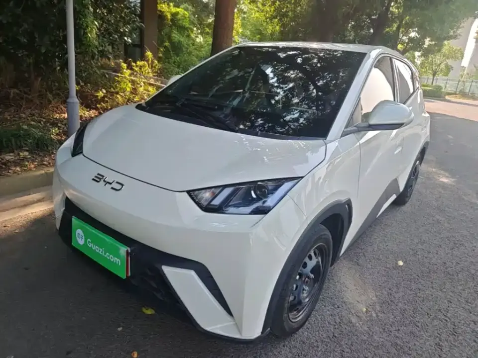 BYD Seagull Glory Edition 305km Vitality Edition 2024