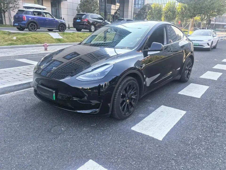 Tesla Model Y Rear-Wheel Drive Version 2022