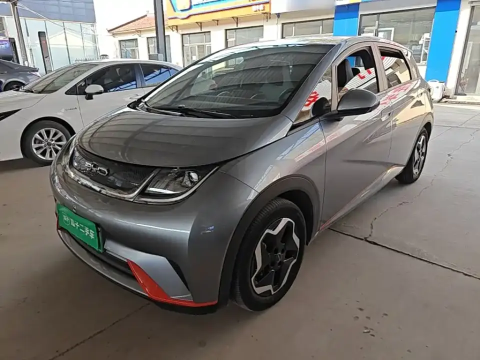 BYD Dolphin Model 405km Fashion Edition 2022
