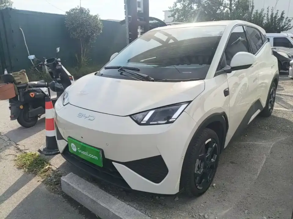 BYD Seagull Smart Drive Edition 305km Freedom Version 2025
