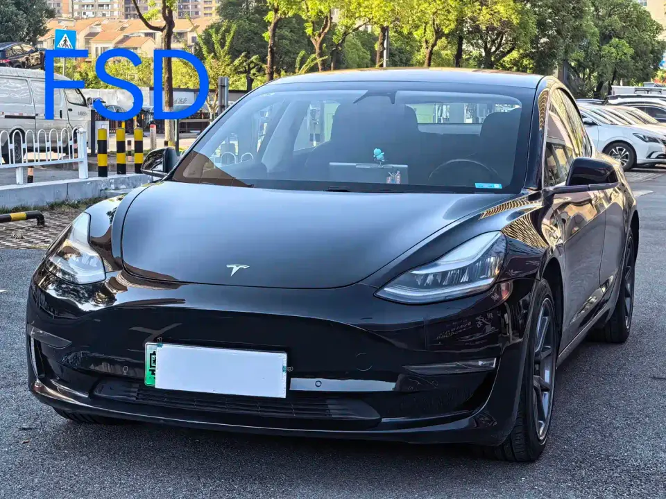 Tesla Model 3 (Import) Long Range All-Wheel Drive Edition 2019