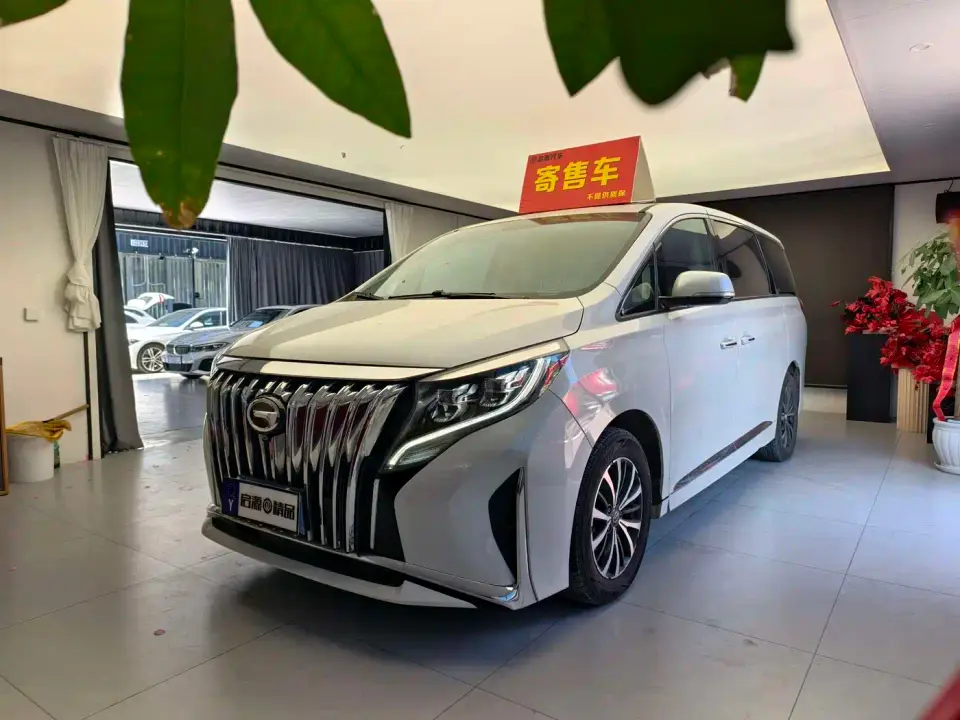 GAC Trumpchi M8 Leading Series 390T Luxury Edition 2024