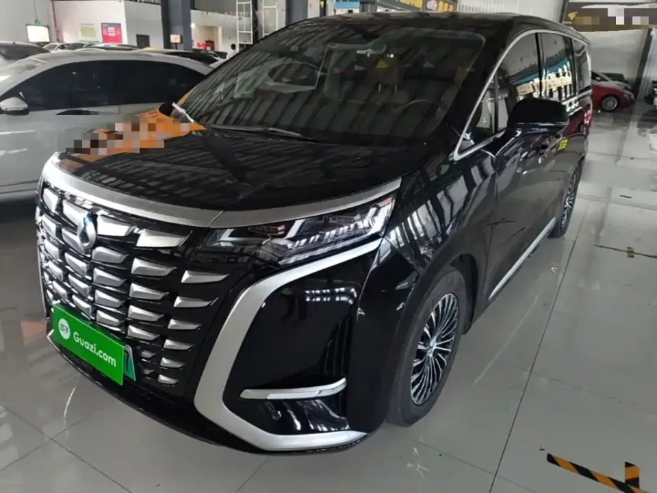 Denza D9 DM-i 1050 Premium 2024