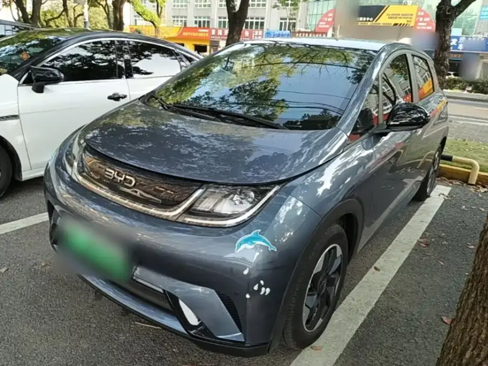 BYD Dolphin Glory Edition 420km Fashion Edition 2024