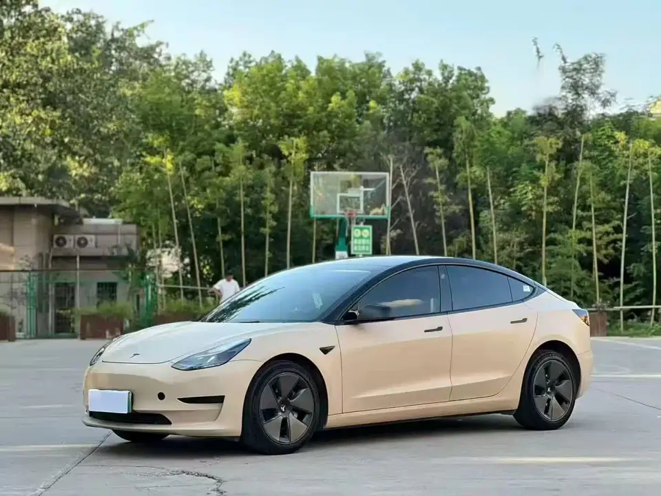 Tesla Model 3 Model Rear-Wheel Drive Version 2023