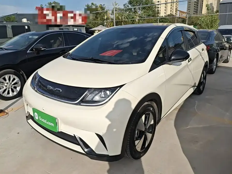 BYD Dolphin 420km Fashion Edition 2023