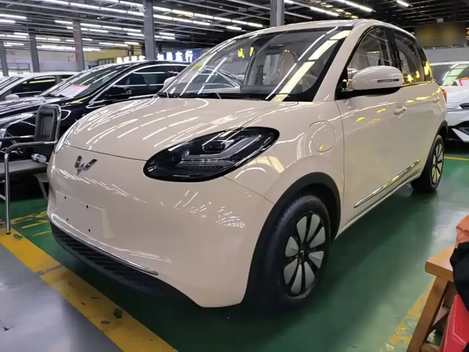 Wuling Motors Wuling Bingo Model 333km Joy Edition 2026