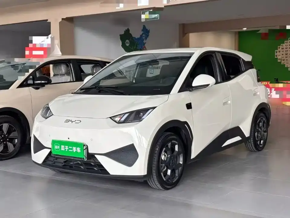BYD Seagull Smart Drive Edition 305km Freedom Version 2025