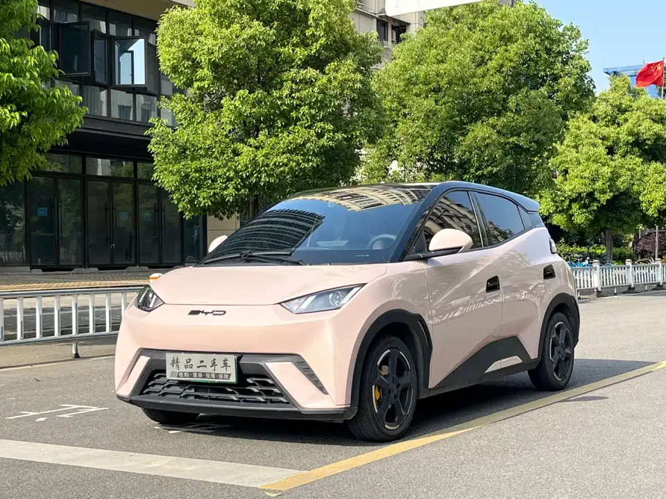 BYD Seagull Glory Edition 305km Vitality Edition 2024