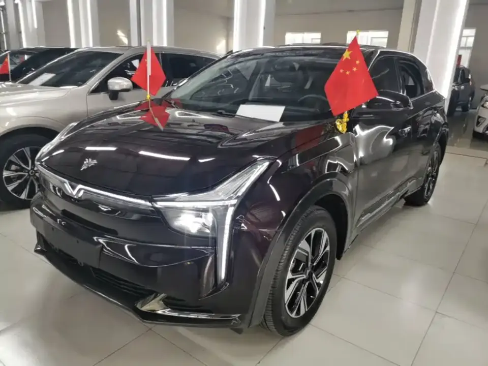Neta U Neta U-II Challenge Edition 400 U-Show (LFP) 2023