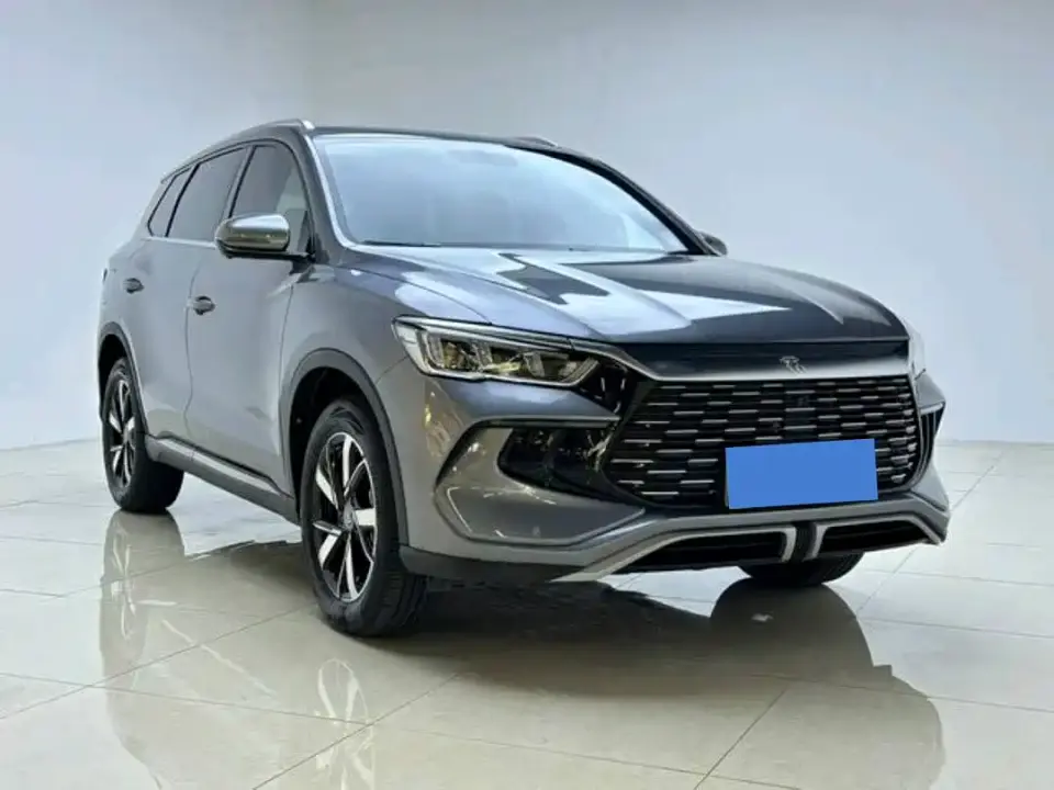 BYD Song Pro New Energy Glory Edition DM-i 71KM Pilot 2024
