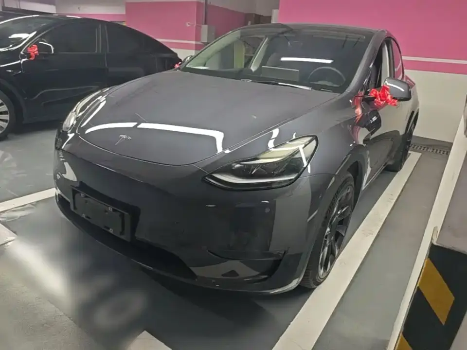 Tesla Model Y Model Long Range AWD 2021