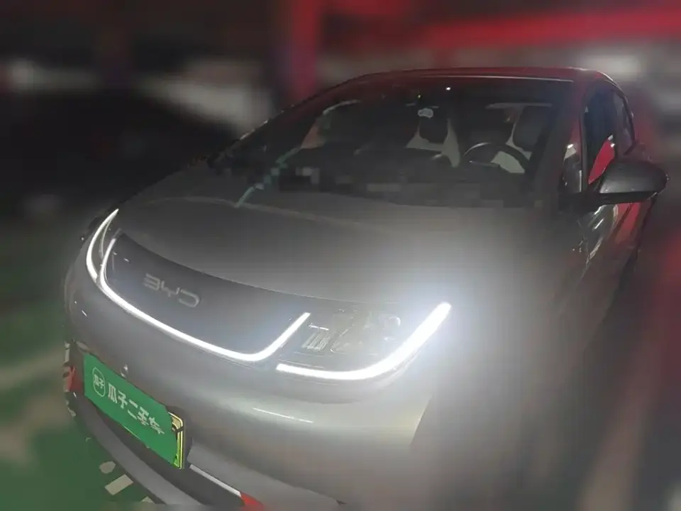 BYD Dolphin 405km Freedom Edition 2022