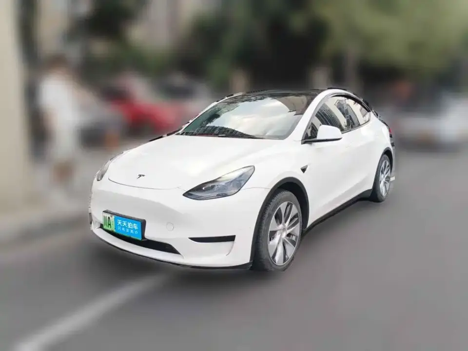 Tesla Model Y Rear-Wheel Drive Version 2022