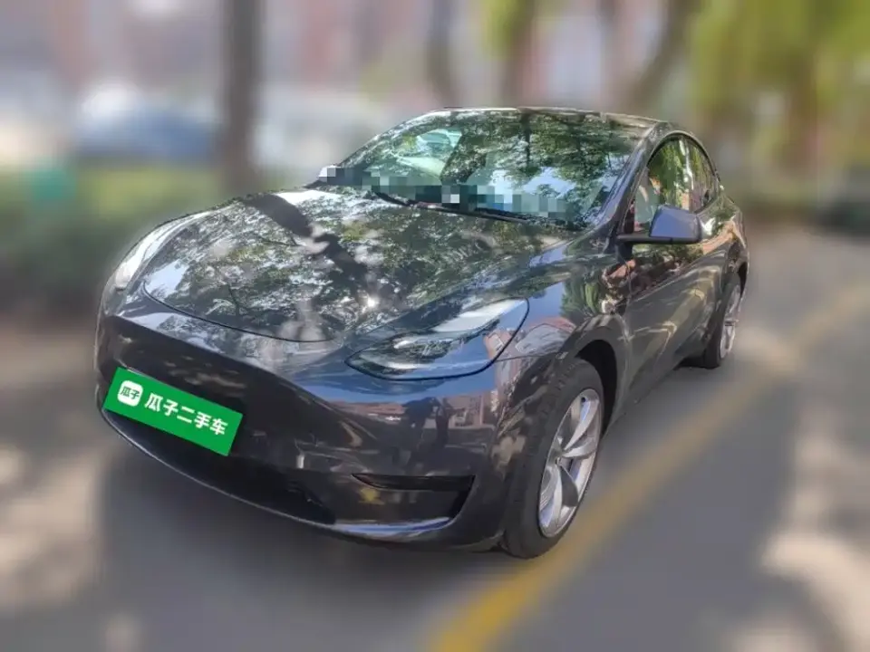Tesla Model Y Rear-Wheel Drive Version 2024