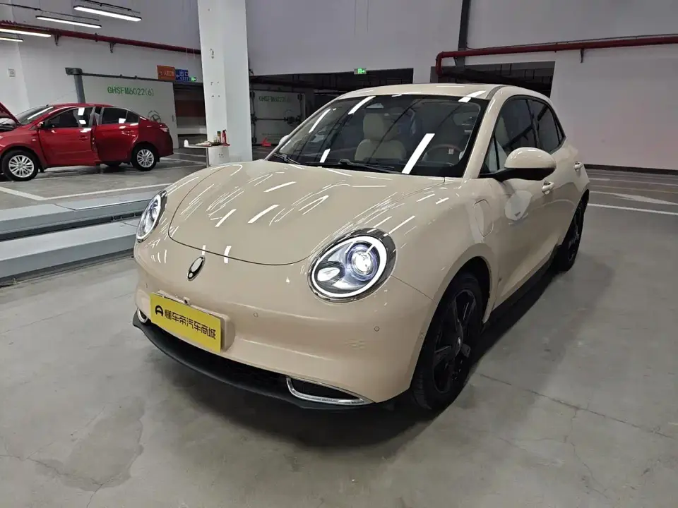 ORA Good Cat 501km Premium 2024