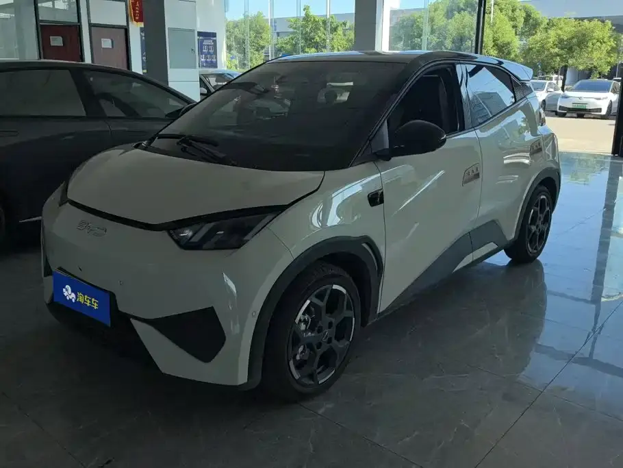 BYD Seagull Smart Drive Edition 305km Freedom Version 2025