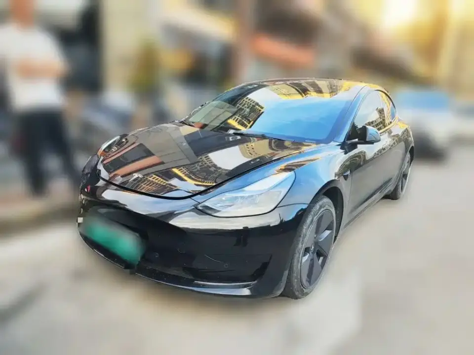 Tesla Model 3 Model Rear-Wheel Drive Version 2022