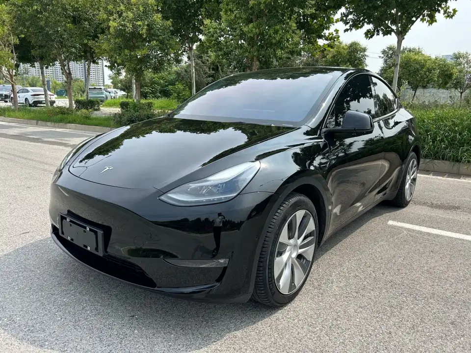 Tesla Model Y Model Long Range AWD 2021