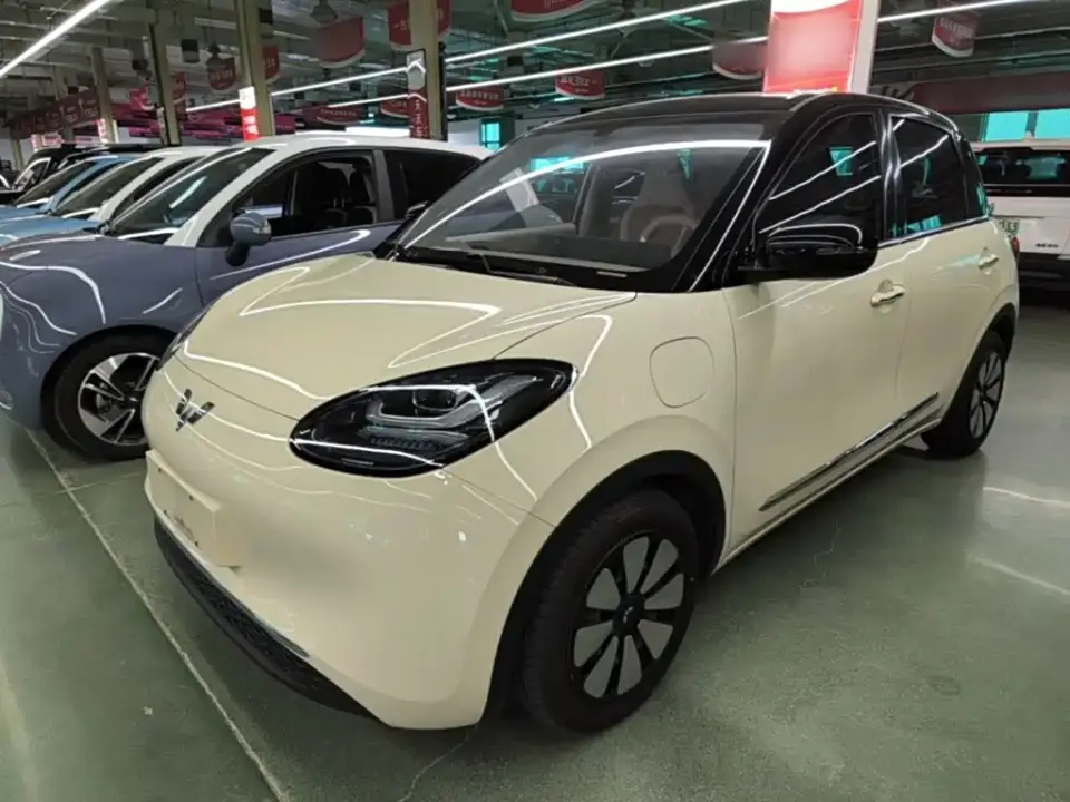 Wuling Motors Wuling Bingo Model 333km Smart Connect 2025