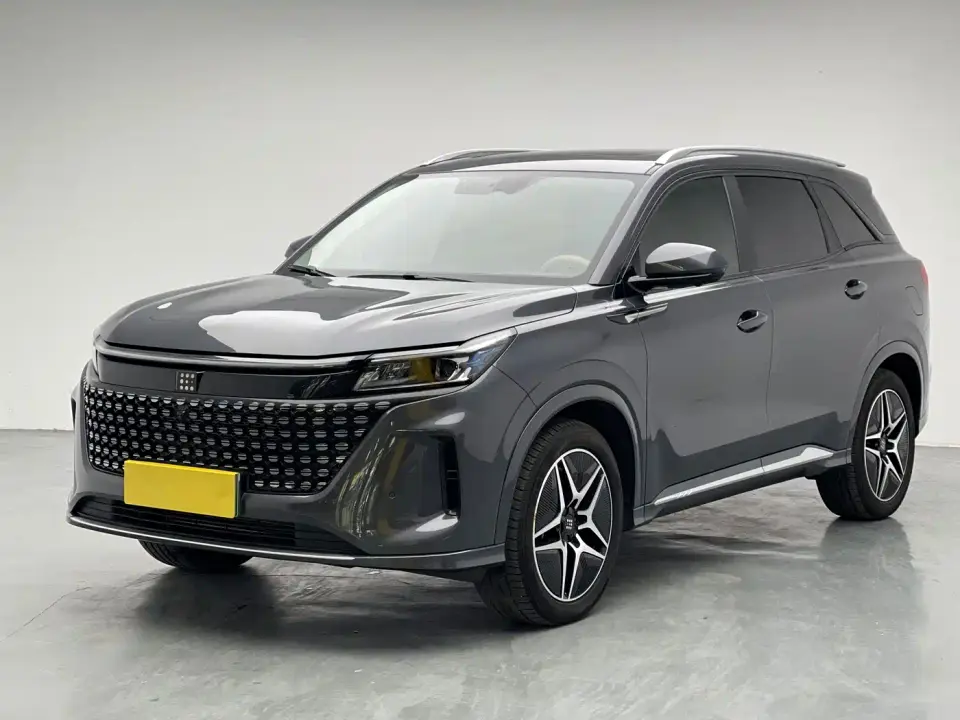Landian E5 Glory Edition 100KM Ultimate Type 7-Seater 2024