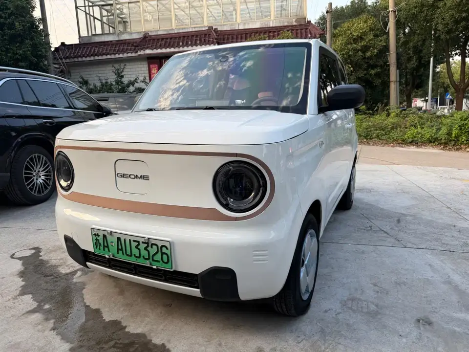 Geely Galaxy Panda Panda mini 200km Endurance Bear 2024