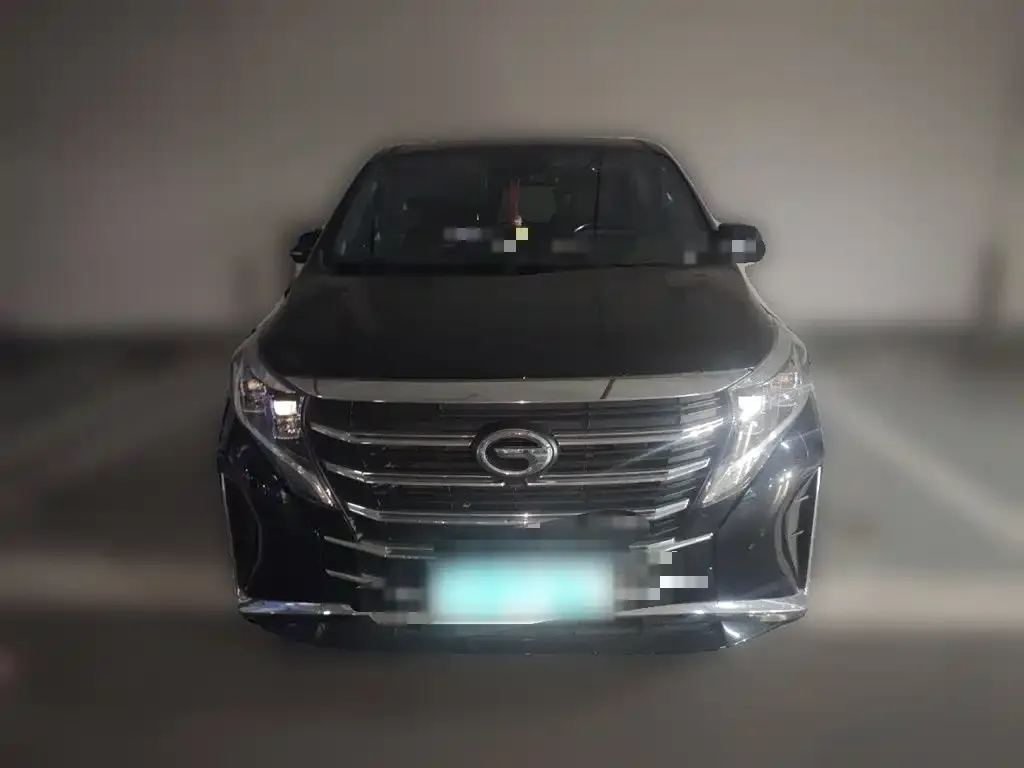 GAC Trumpchi M8 Leading Show Series 390T Prestige Edition 2022 — фото 2