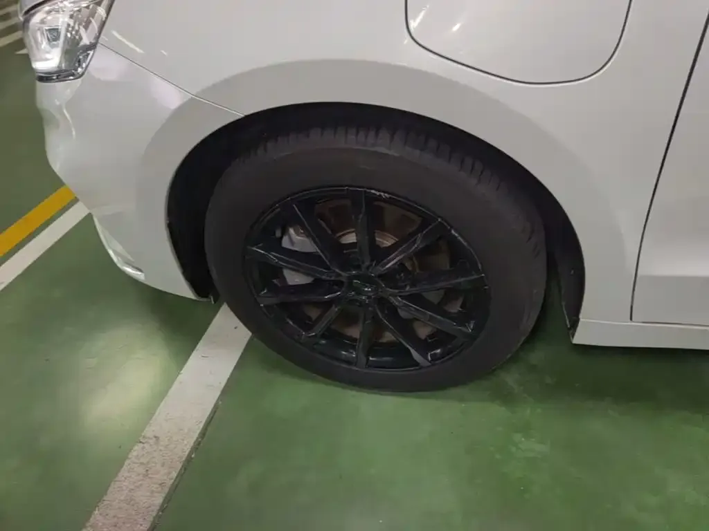 Geely Borui PHEV 1.5T ePro Leading Edition 2021 — фото 23