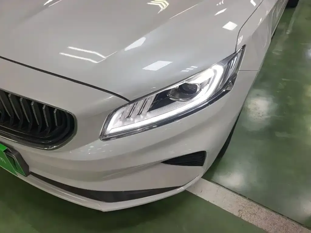 Geely Borui PHEV 1.5T ePro Leading Edition 2021 — фото 24