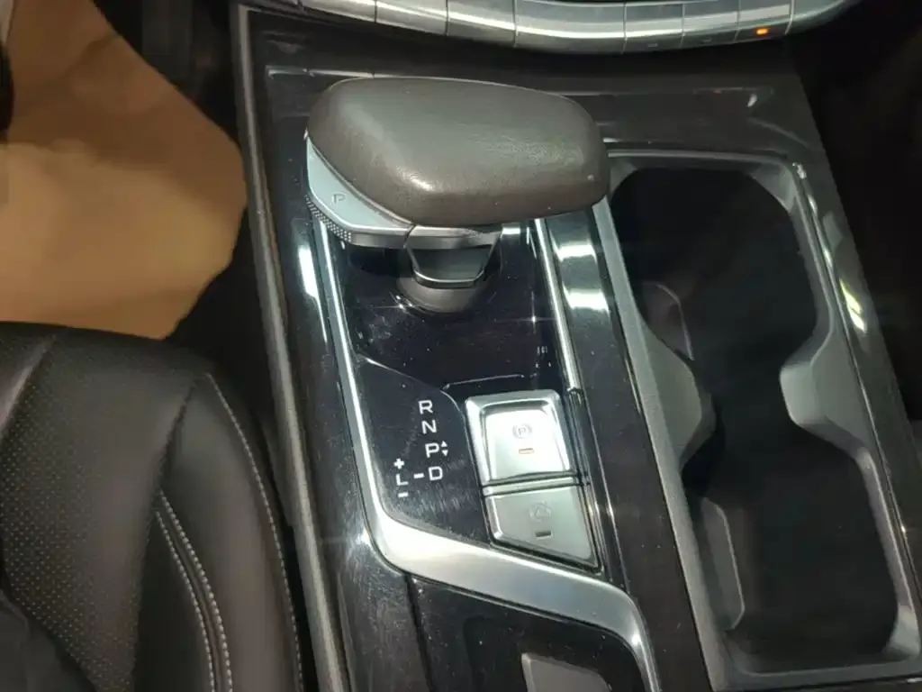 Geely Borui PHEV 1.5T ePro Leading Edition 2021 — фото 14