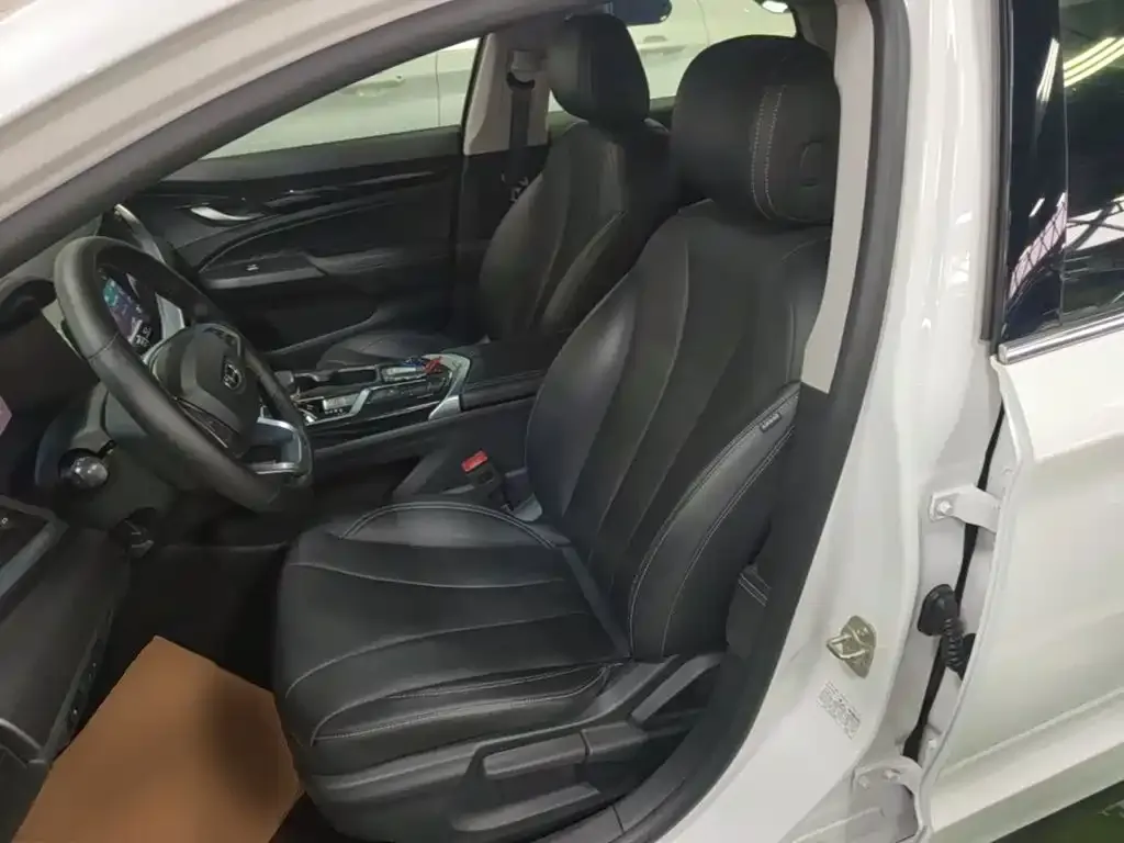 Geely Borui PHEV 1.5T ePro Leading Edition 2021 — фото 15
