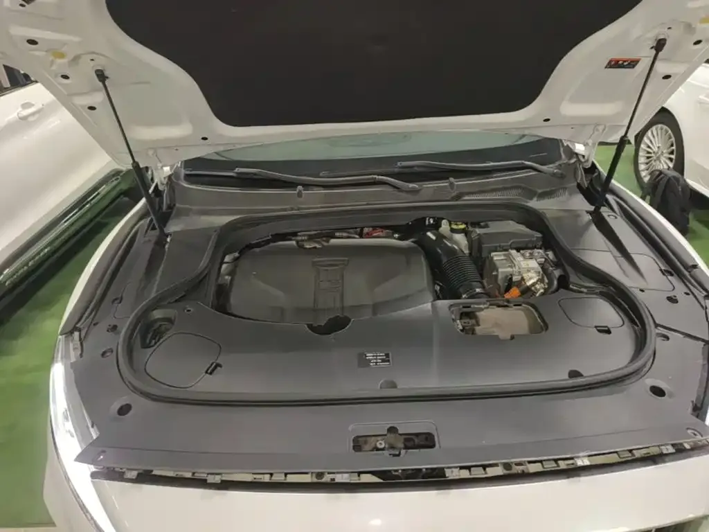 Geely Borui PHEV 1.5T ePro Leading Edition 2021 — фото 20